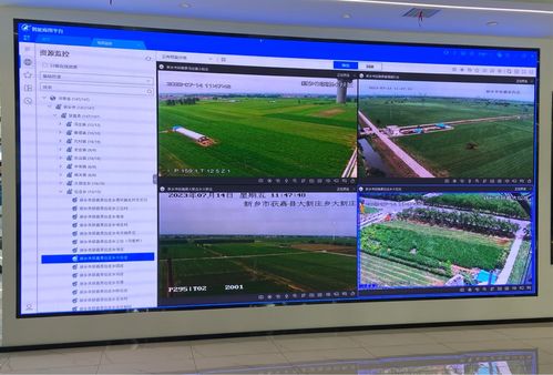 新乡 科技赋能农业，走出高质量发展新路径